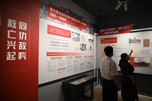 点击放大查看
